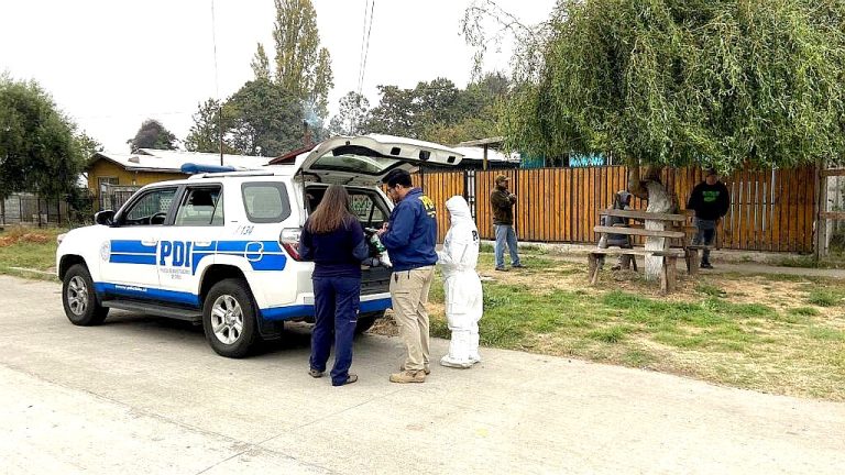 Perros de Raza Pitbull provacaron la muerte de un hombre en Renaico