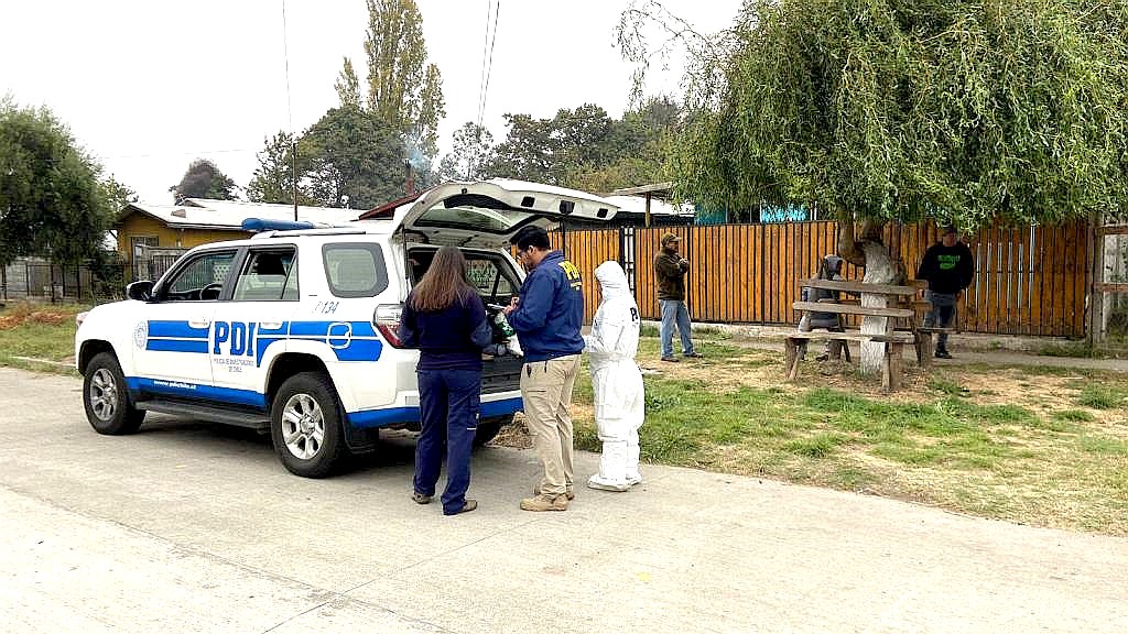 Perros de Raza Pitbull provacaron la muerte de un hombre en Renaico