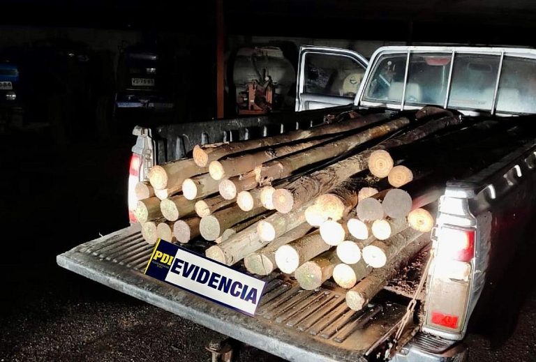 PDI recuperó medio centenar de estacas de madera sustraídas desde empresa agrícola en Angol
