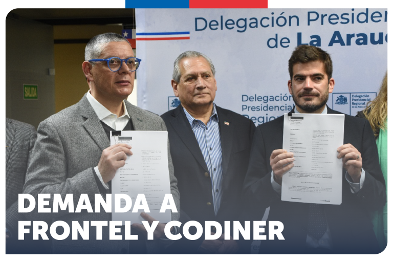 SERNAC DEMANDA COLECTIVAMENTE A FRONTEL Y CODINER: SE EXIGEN MILLONARIAS MULTAS Y ALTAS COMPENSACIONES