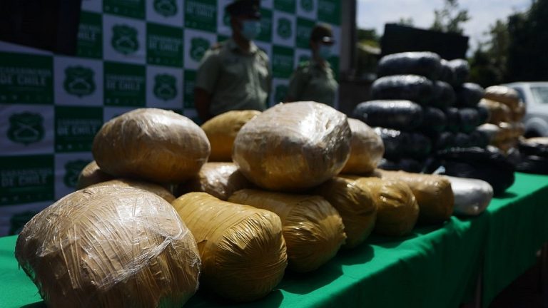 Carabineros logra histórica incautación de droga en La Araucanía –