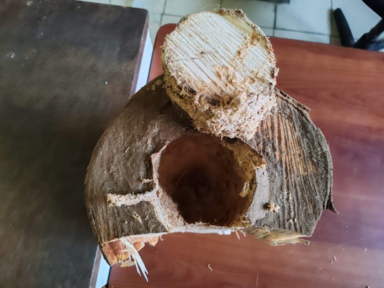 PDI detuvo a hombre que intentó ingresar equipos celulares y droga al Centro de Penitenciario de Traiguen