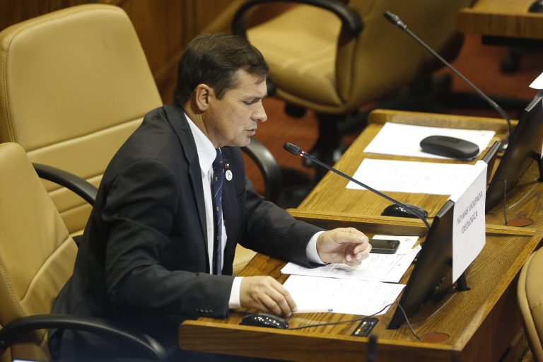 Diputado Rathgeb por proyecto de ley que crea el Ministerio de Seguridad Pública: “Esperamos que esto no signifique más burocracia para combatir los delitos”