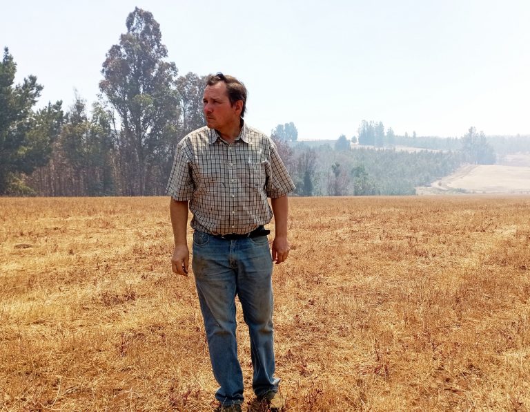 Diputado Rathgeb solicita evaluar que se declare toque de queda en comunas con alerta roja por incendios