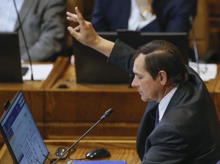 Diputado Jorge Rathgeb por ampliación al subsidio eléctrico: “Primó el sentido común y así se podrá apoyar a más familias”