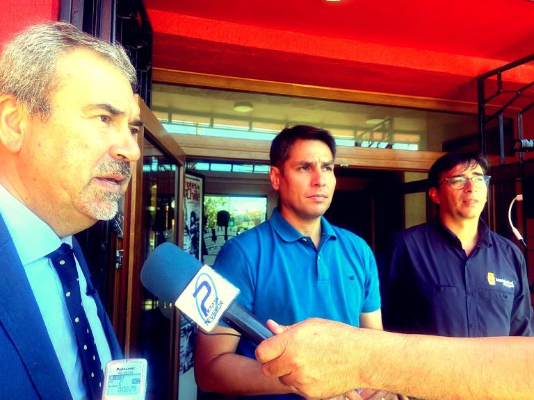 Feria de las Pulgas de Brotes de Chile se instalará en Parque Vergara de Angol: No más de 300 comerciantes