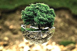 Día Mundial contra el Calentamiento Terrestre: Las decisiones alimentarias son clave