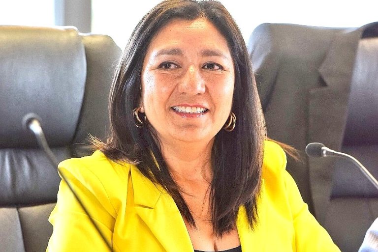 Consejera Regional Marita Gutiérrez presidirá Comisión de Seguridad Ciudadana y Bomberos en La Araucanía