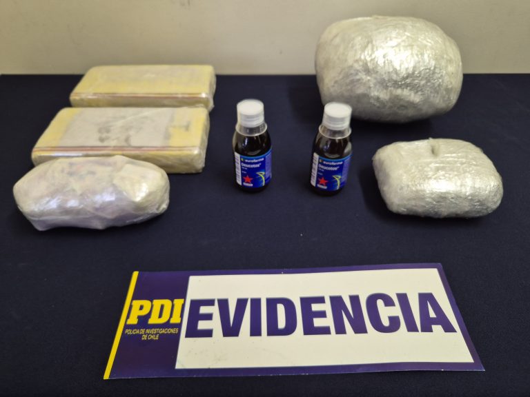 Canes de la PDI Temuco logran detectar transporte de sustancias ilícitas en buses interprovinciales