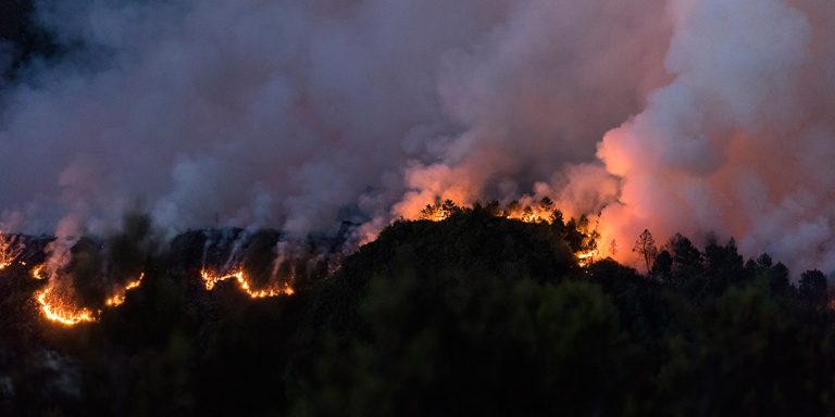 Diputado Rathgeb advierte que no se debe bajar los brazos ante los incendios