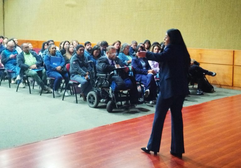 Seminario sobre Ley Karin reunió a más de 100 personas en La Araucanía