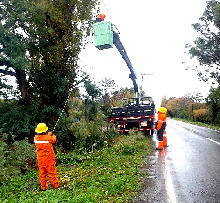 CGE activa plan de acción preventivo ante sistema frontal que afecta a la región de La Araucanía