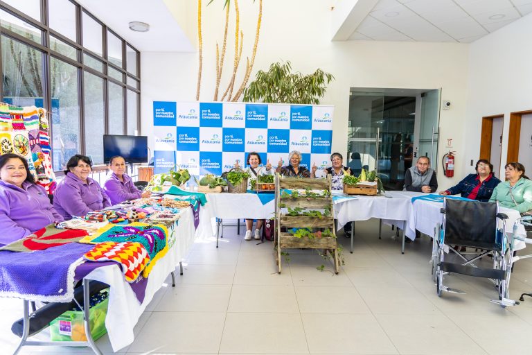 Feria comunitaria dio el vamos a postulaciones al Fondo Concursable de Aguas Araucanía