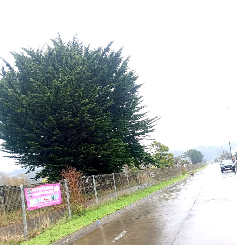 Aguas Araucanía activó revisión de puntos críticos por aguas lluvias