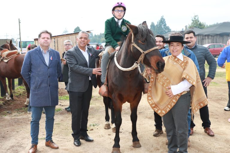 ALCALDE INAUGURA PRIMER CENTRO DE EQUINO TERAPIA EN LA COMUNA DE COLLIPULLI