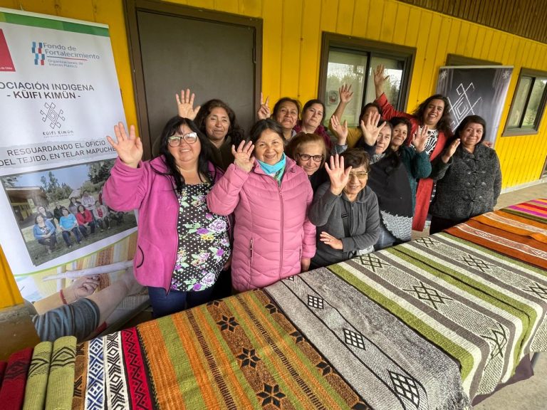 Hasta el 9 de mayo se extiende el plazo de postulación al Fondo de Fortalecimiento de Organizaciones de Interés Público