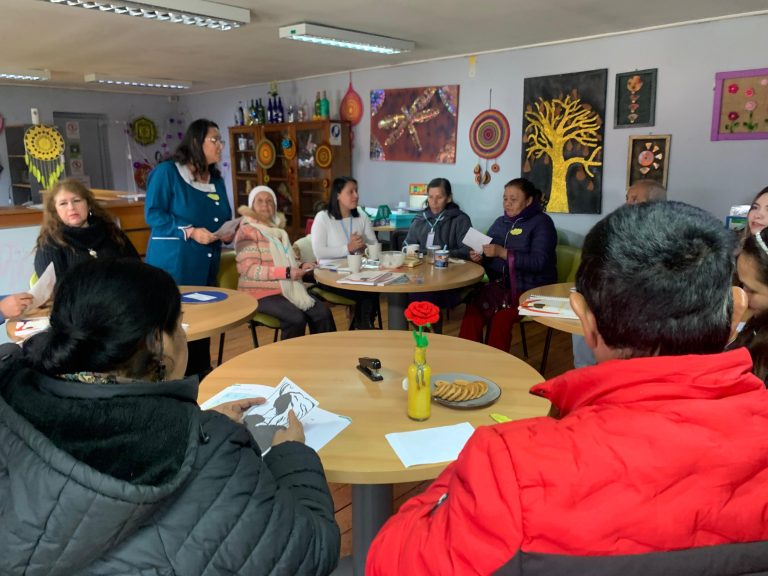 En 30 comunas de La Araucanía ya partieron las clases del plan de alfabetización “Contigo Aprendo”