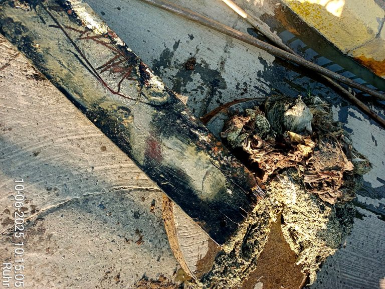 Trapos y un tablón: hallazgos en red de alcantarillado de Avda. O´Higgins en Angol