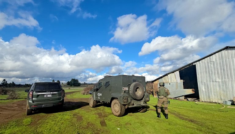 Carabineros COP logra incautar dos camiones, un automóvil y recuperan cerca de $4 millones de madera sustraída