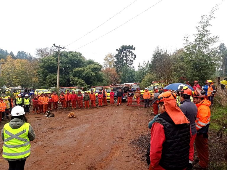 Frontel realiza mantenimiento de redes eléctricas en Colonia Manuel Rodríguez en Angol