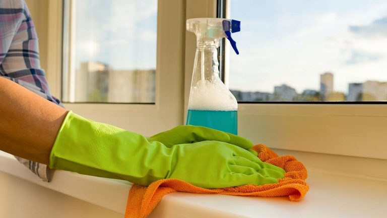 Poder femenino: plataforma integral facilita la gestión integral de trabajadoras domésticas