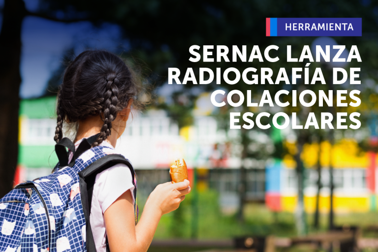 ALTA CONCENTRACIÓN DE AZÚCAR Y VARIABILIDAD DE PRECIOS: SERNAC LANZA RADIOGRAFÍA DE COLACIONES ESCOLARES