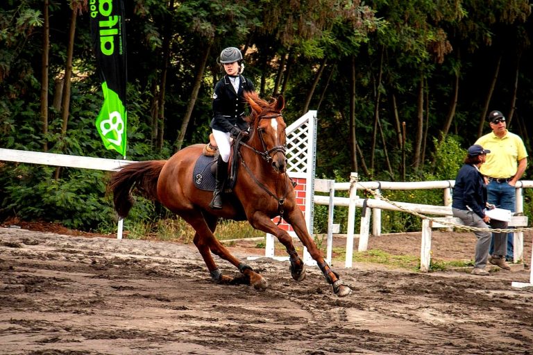 Jinete angolina representará a Chile en Mundial Ecuestre de Clubes en Francia