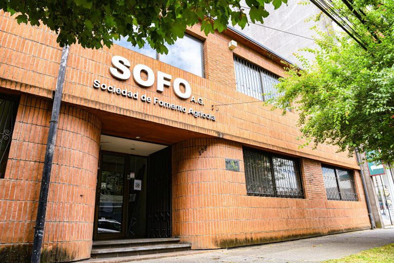 Declaración Pública SOFO