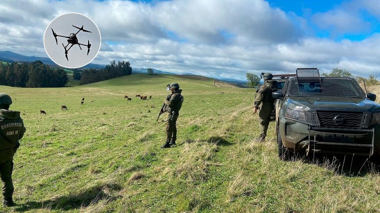 Carabineros COP logra recuperación de 82 animales bovinos robados en Traiguén