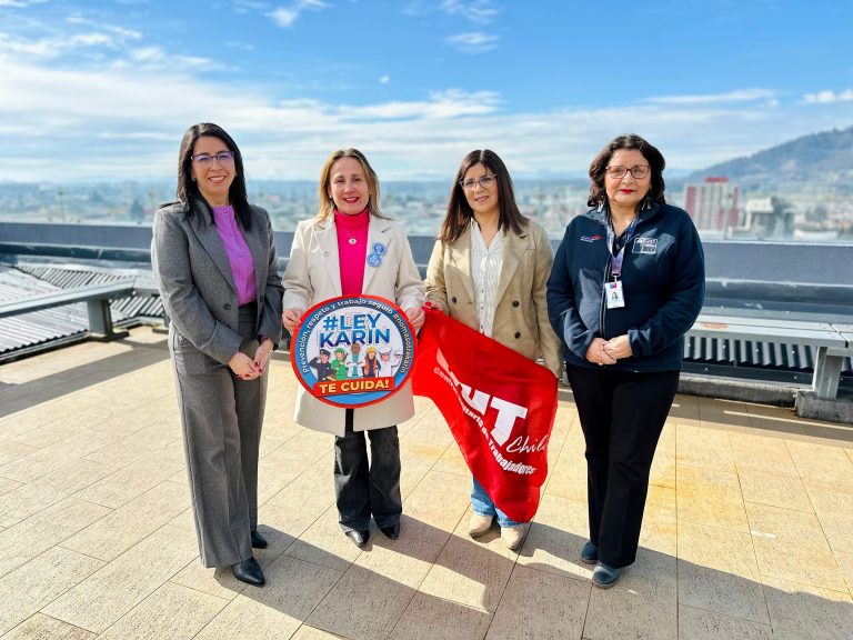 La Araucanía es la tercera región con más denuncias por Ley Karin