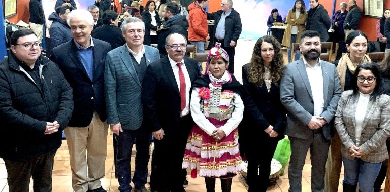 Central eléctrica solar en Los Sauces contribuye a la transición energética de Malleco