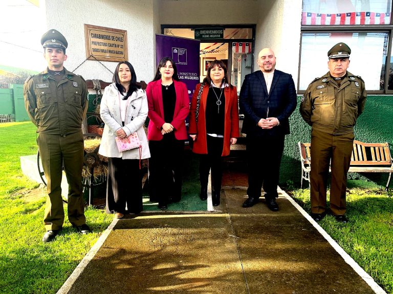 Plan 18 Seguro: En La Araucanía dan a conocer medidas de prevención y protección en casos de violencia de género