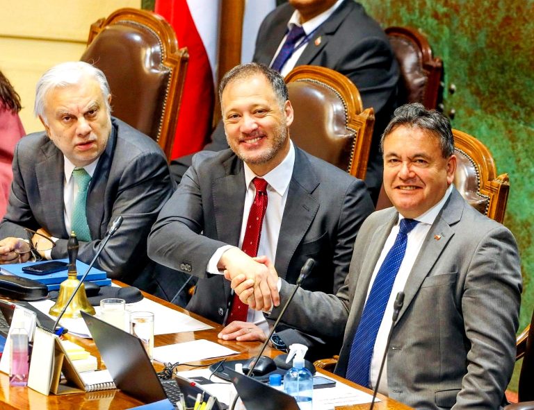 Más seguridad para Malleco pidió Beltrán en aprobación de nueva prórroga del Estado de Excepción