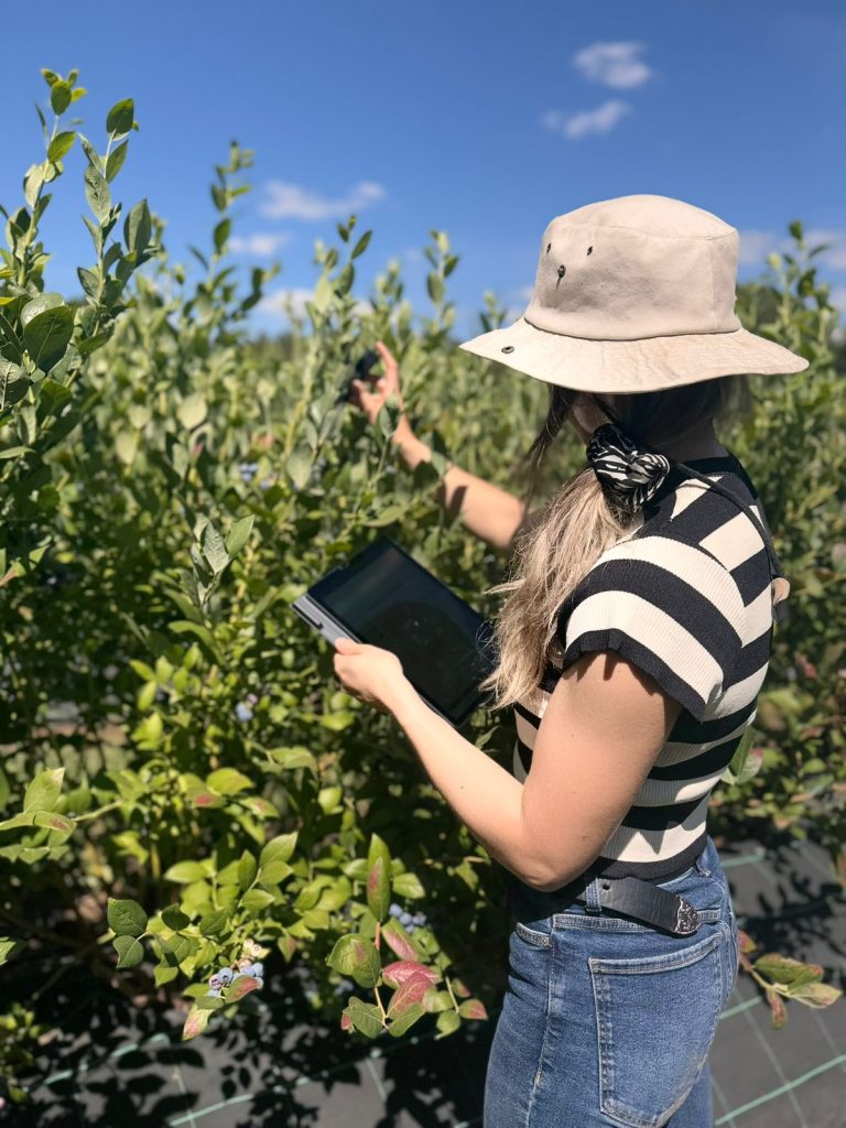 OST LAB AGRO: El primer laboratorio digital frutícola de Chile que mide las condiciones fenológicas del cultivo en tiempo real desde una app móvil