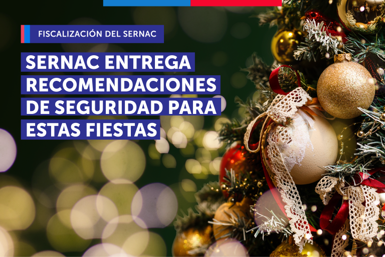 QUE LA NAVIDAD NO SE TRANSFORME EN PESADILLA: SERNAC ENTREGA RECOMENDACIONES DE SEGURIDAD PARA ESTAS FIESTAS
