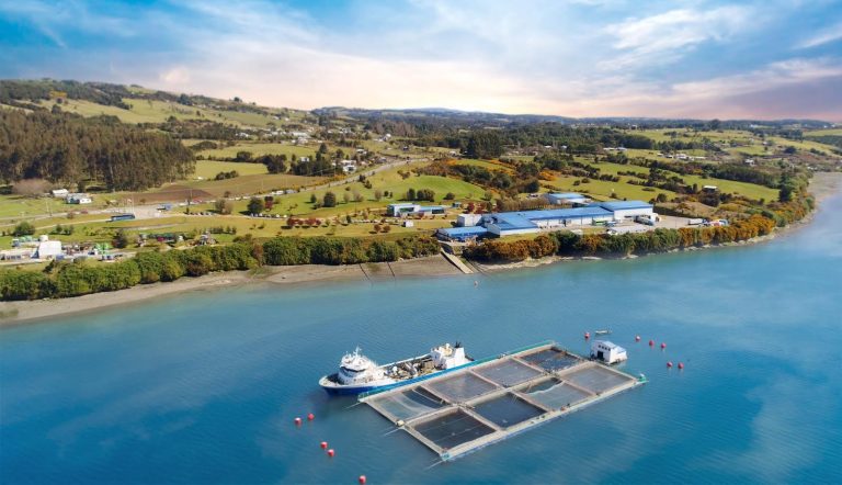La iniciativa que está cambiando el paradigma de alimentar salmónidos en Chile