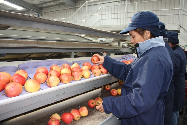 Más de 12 mil personas han accedido a empleo con red de intermediación del Sence