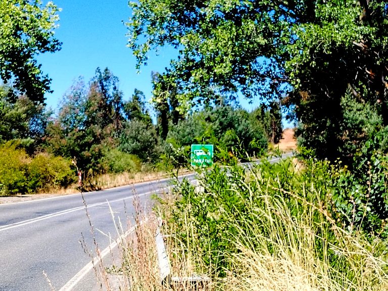Diputado Rathgeb manifiesta molestia por largos pastizales en faja fiscal de caminos lo que propicia ocurrencia de incendios