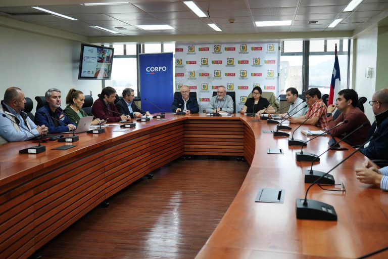 Comité de Desarrollo Productivo Regional consolida coordinación interinstitucional y aprueba presupuesto 2026 con foco en Malleco