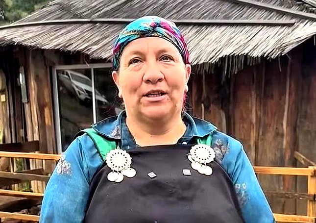 COLLIPULLI CELEBRA A SU REPRESENTANTE ENTRE LAS 100 MUJERES LÍDERES DE LA ARAUCANÍA