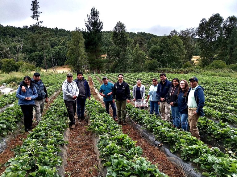 Ejecutivo GORE visita y se reúne en terreno con cooperativas