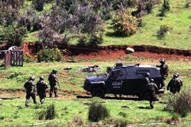 Diputado Rathgeb solicita que el Gobierno de urgencia a proyectos sobre seguridad