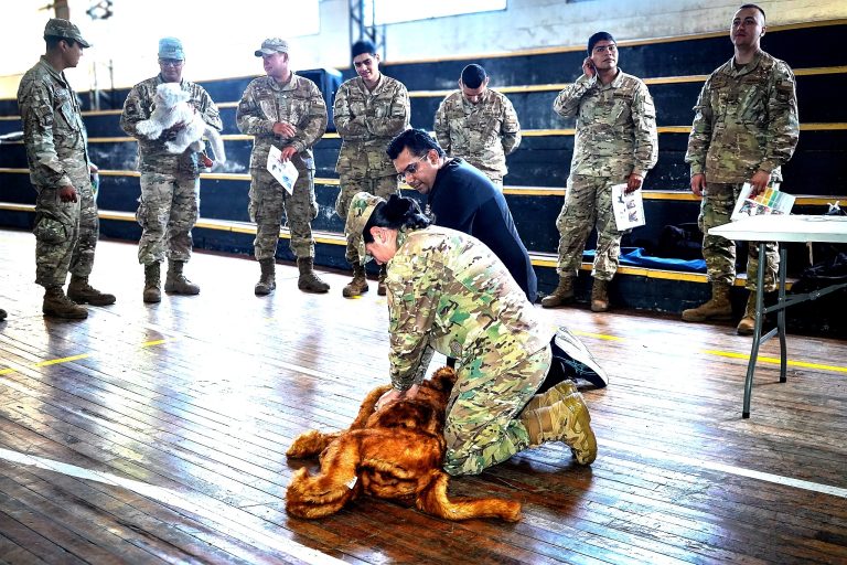 Incendios forestales: capacitan a brigadas del Ejército en rescate de fauna y animales domésticos