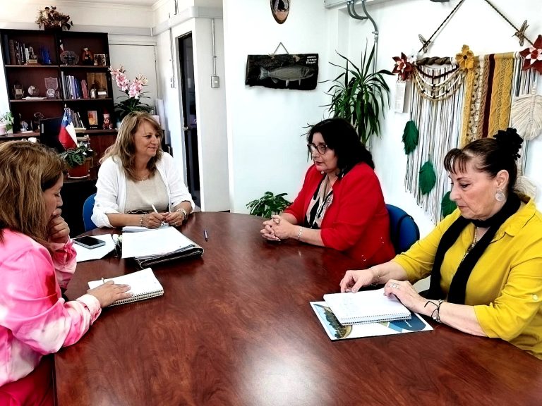 Para reforzar la inclusión laboral: Sence destina recursos a oficinas OMIL de La Araucanía