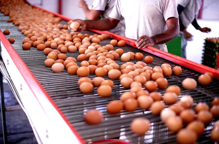 Chilehuevos y SAG refuerzan capacitación en bioseguridad