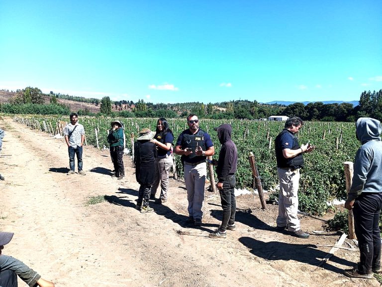 PDI REALIZA FISCALIZACIÓN MASIVA A EXTRANJEROS EN SECTOR RURAL DE ANGOL: CINCO DENUNCIADOS POR INFRACCIONES A LA LEY DE MIGRACIONES