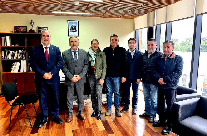 Delegado Presidencial de Malleco recibe a la Cámara de Comercio de Angol para abordar desafíos del sector