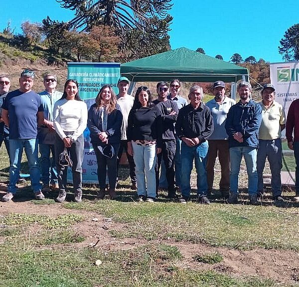 Riego en Icalma: apuesta por una ganadería climáticamente inteligente