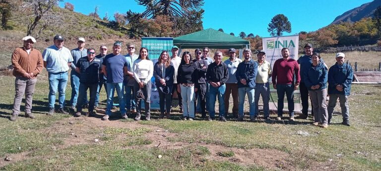 Riego en Icalma: apuesta por una ganadería climáticamente inteligente