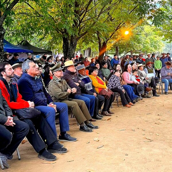 Primera Fiesta de la Vendimia 2026 reunió a la comunidad angolina en sector Lomas del Toro